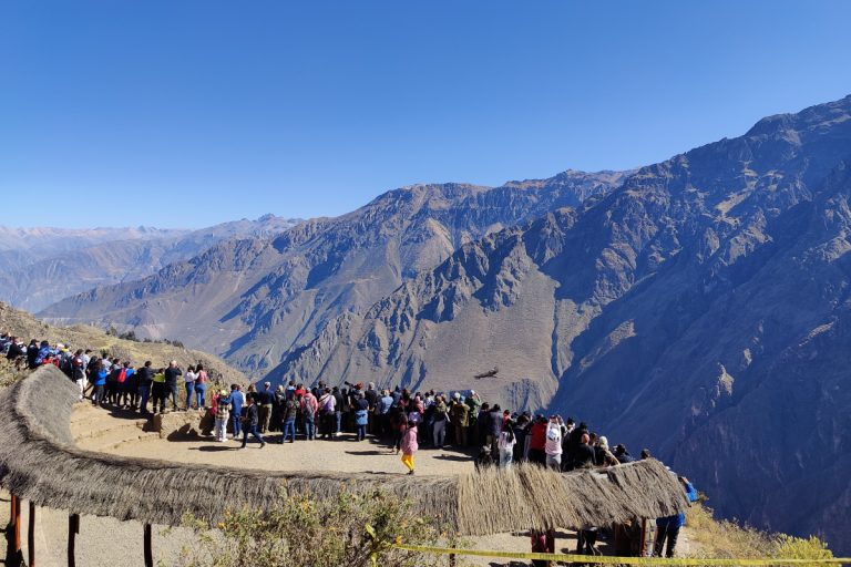 Colca Canyon Two-Day Trek | Sangalle Oasis & Qhapaq Ñan