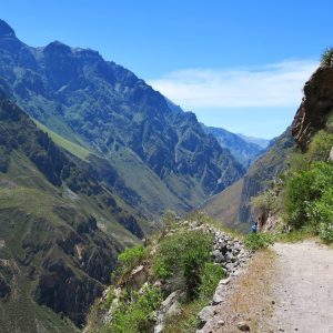 Colca Canyon One-Day Hike | Exclusive Trekking Experience
